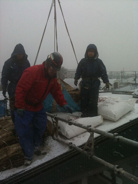 雪が降ってきた