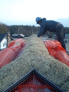 Ｍ邸草屋根 棟固め